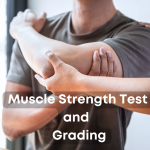 muscle strength testing