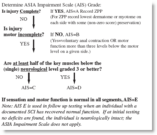 Asia Neurological Chart