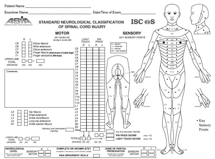 Asia Spinal Cord Injury Chart