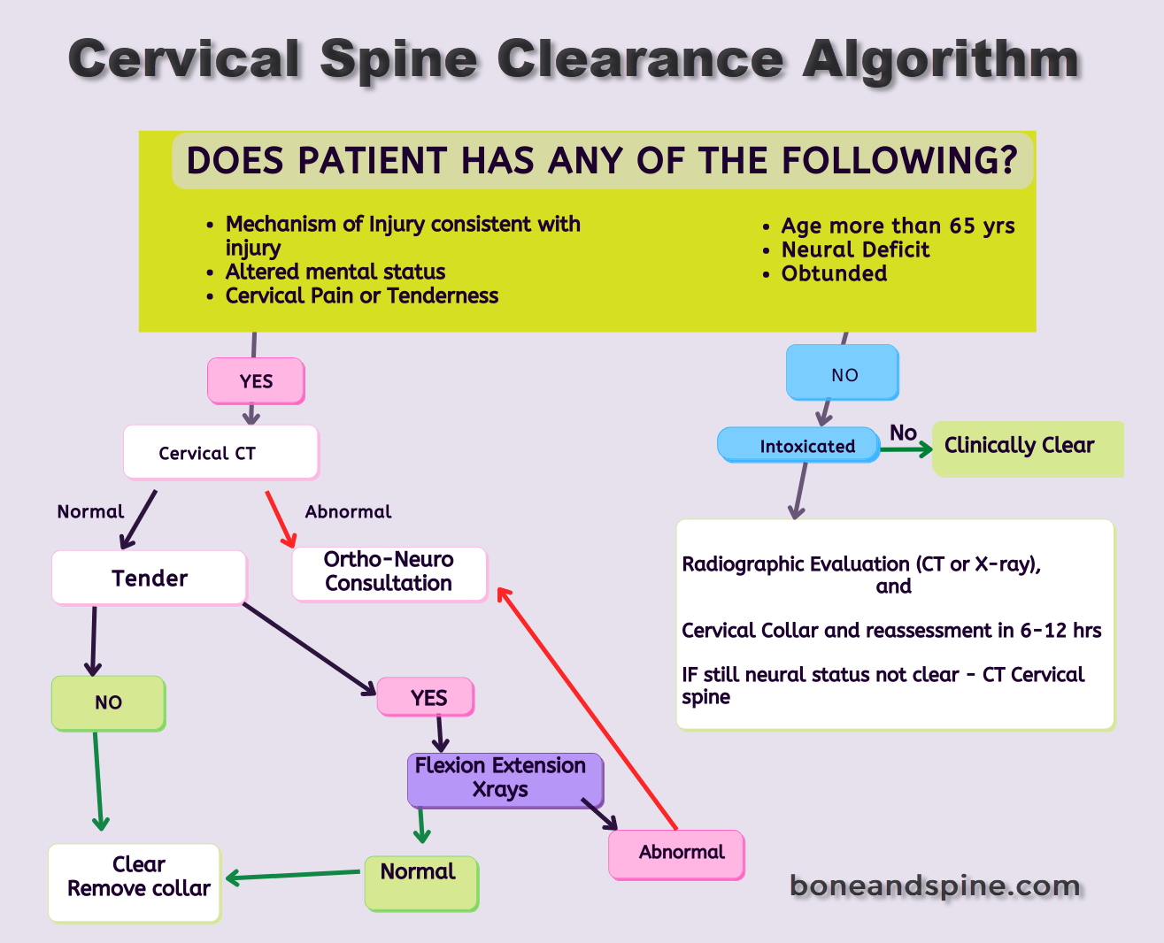 Cervical Spine Clearance Algorithm Bone And Spine