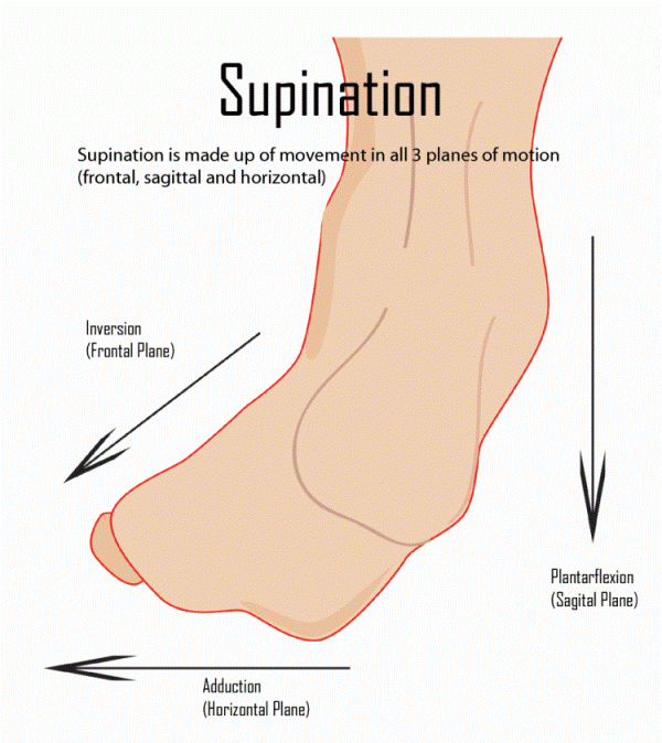 Supination of Foot and Oversupination 