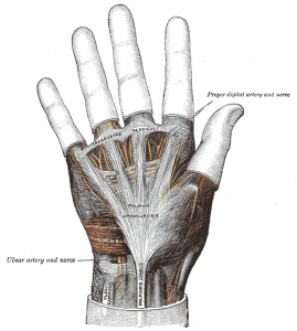 hand pulley