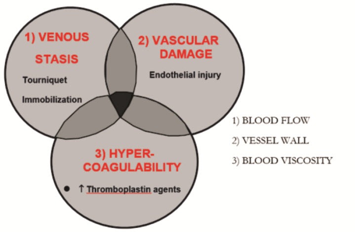 thromboprophylaxis