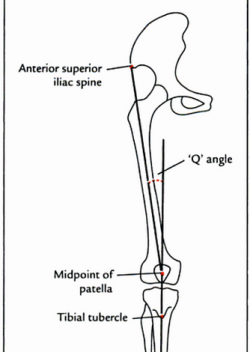 Measurement of Q angle