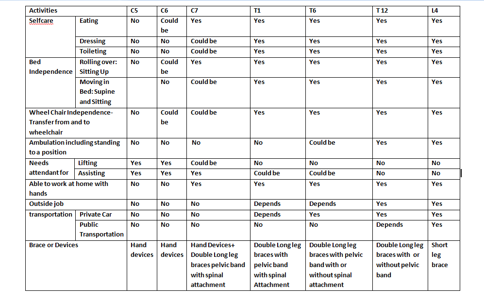 Spine Levels Chart