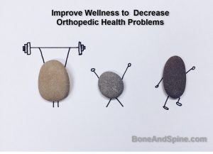 Improve wellness to reduce orthopedic ailments